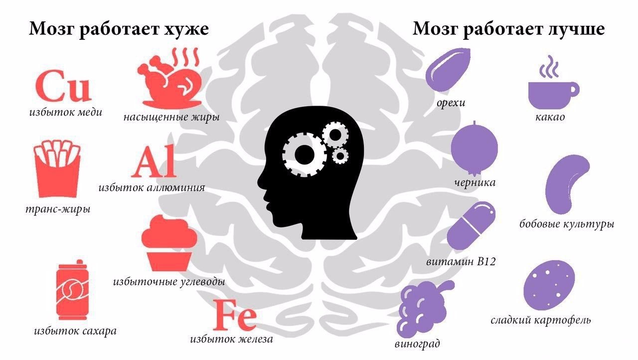 products for brain